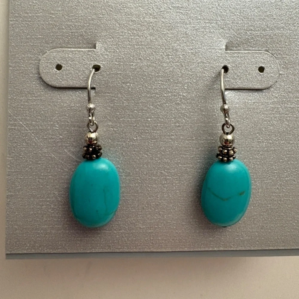 Sterling Silver and Turquoise Earrings from Steinmart